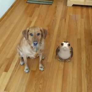 Meet your Posher, Kate